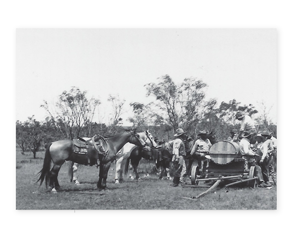 NHG Culture & History NHG Culture & History